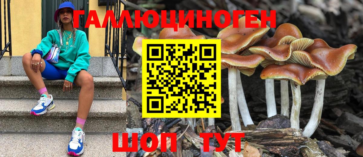Бийск  Галлюциногенные грибы GOLDEN TEACHER  Вход с VPN  Галлюциногенные грибы ЛСД 